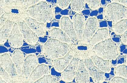 Cotton net fabric